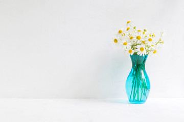 white daisies in a vase on a light background
