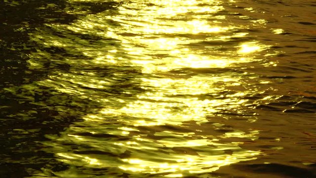 4K golden collor water natere texture backgound