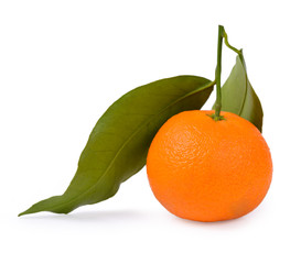 Orange Clementines, tangerines or mandarines isolated on white background