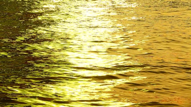 HD 1080p super slow golden collor water natere texture backgound