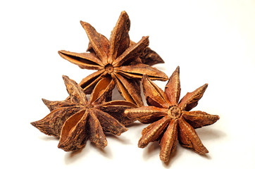 brown badian close up