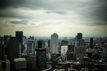 Fototapeta premium osaka