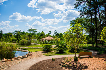 Botanical garden of Brasília in Brazil with trees and flowers
