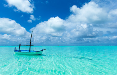 tropical beach in Maldives with few palm trees and blue lagoon