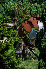 Botanical garden of Brasília in Brazil with trees and flowers