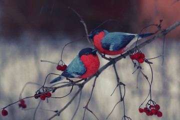 wooden bullfinches on the tree branch/new year and christmas background