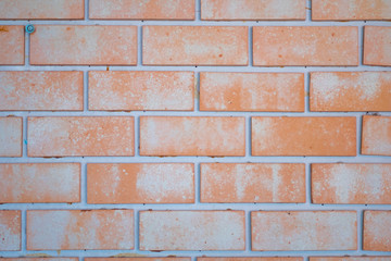 Brick wall background texture