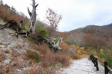 川原毛地獄の風景（秋田県湯沢市）