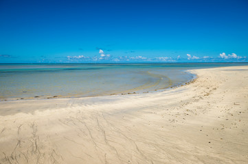 Bright scenic view of rustic deserted Brazilian beach with the low tide ocean receding over the shallows of coral reefs on the empty horizon in Bahia, Brazil