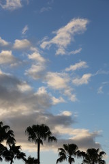 Fototapeta premium london towerbridge am abend