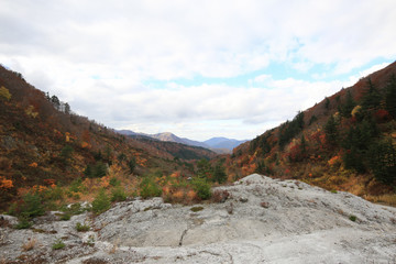 Fototapeta premium 川原毛地獄の風景（秋田県湯沢市）