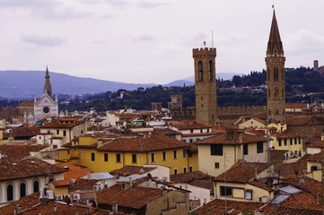 Obraz premium View of the center of Florence from the bell tower of Giotto, Italy