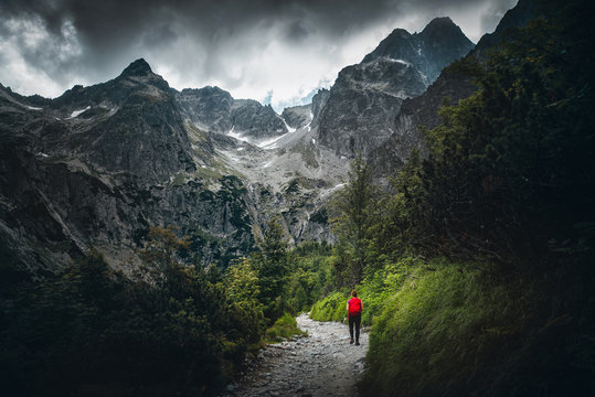 Female tourist with red backpack walking in wild green nature to the big mountains. Trip, hiking sport active photo. Majestic landscape in background. Summer adventure in mountains