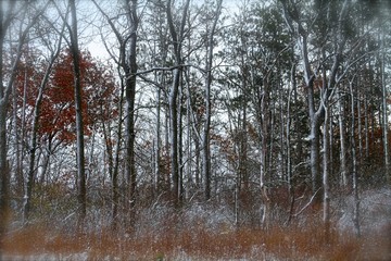 First Snow 3