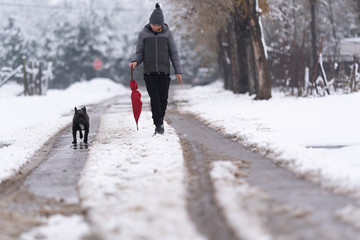 Boy and his french bulldog walking down the snowy street