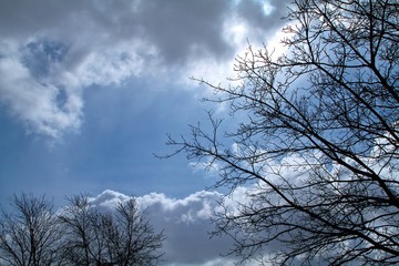 Reaching for the light