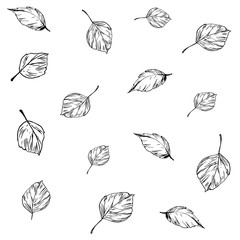 Seamless pattern with leaves. Hand drawn vector illustration