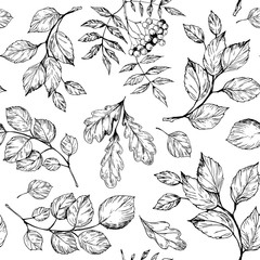 Seamless pattern with rowan leaves and berries. Hand drawn vector illustration