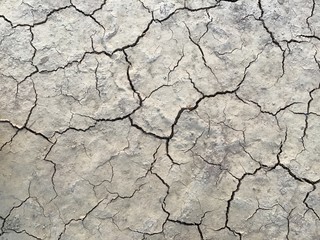 Cracked dry ground texture background.