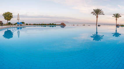 Fototapeta na wymiar open pool on the shores of the exotic ocean and the reflection of palm trees in the water. summer landscape. panoramic picture