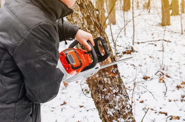 Man hands holding an electric chainsaw, saws a tree in the forest. Deforestation. Modern technologies. Ecological problems. Earth Resources.