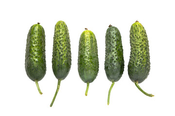 Cucumbers on a white background