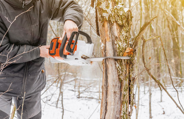 Man hands holding an electric chainsaw, saws a tree in the forest. Deforestation. Modern technologies. Ecological problems. Earth Resources.
