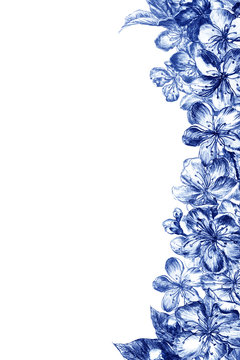 Hand drawn charcoal pencil edging blue flowers of the pulm blossoms and leaves, petals and buds in vintage style on a white background. Vertical illustration