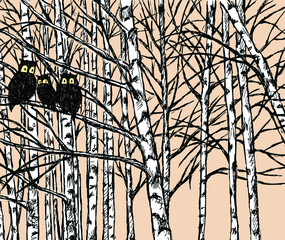 Vector image of owls in the birch forest