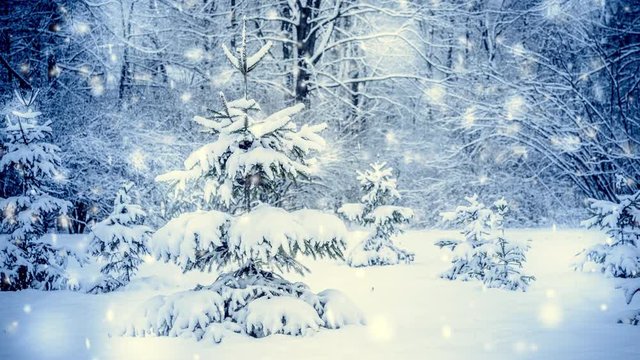 Very nice little Christmas tree in the woods with snow. Christmas Winter New Year background. Cinemagraph seamless loop animation motion gif render background