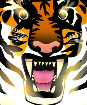 Illustration of an aggressive orange magic fire tiger's muzzle. Vector. Fantasy.