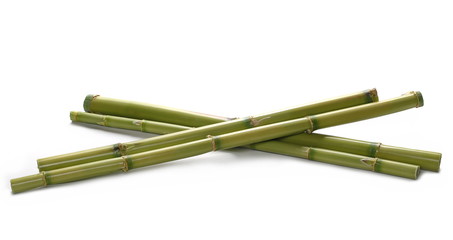 Green bamboo sticks isolated on white, side view