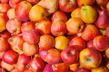 Fototapeta na wymiar bunch of bright juicy red apples, background, texture