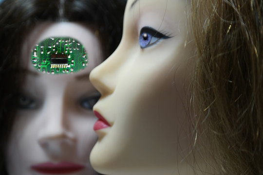Donna robot