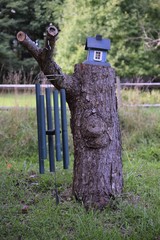 Tree stump with a bird house and windchimes