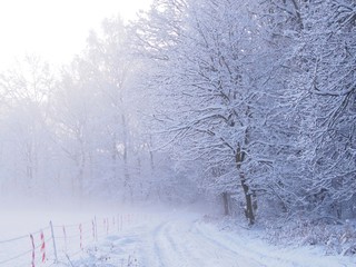 Piękny zimowy krajobraz