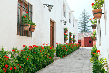 Narrow street with old stone houses decorated with red geranium flowers in bloom