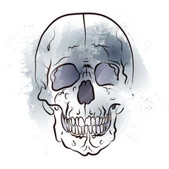 Black and white graphics. Skull floating out of watercolor stains