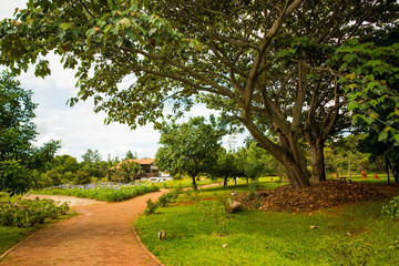 Botanical garden in brasilia, brazil