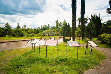 Botanical garden in brasilia, brazil