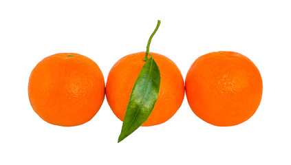 Three ripe orange mandarins with green leaf in a row isolated on white background