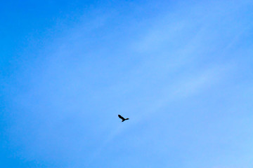 Blue sky with clouds.