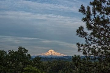 Mt. Hood glows in the evening alpenglow