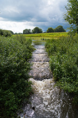 fish ladder in summer time