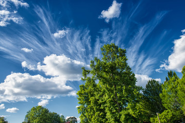 Obraz premium high winds tear clouds apart on an otherwise serene day