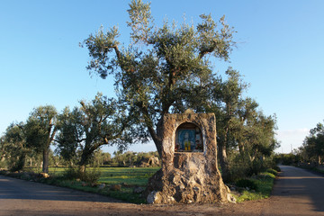 Ancient votive shrine in the Salento countryside among olive groves - Italy
