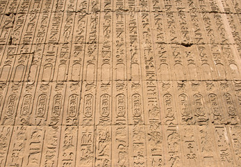 Hieroglyphic carvings on an ancient egyptian temple wall