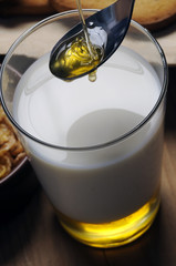 Latte e miele ミルクとハニー Молоко и мед Milch und Honig Leche y miel Milk and...