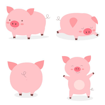 Set fat little cute pigs.The year of the pig. Funny pigs vector cartoon illustration.