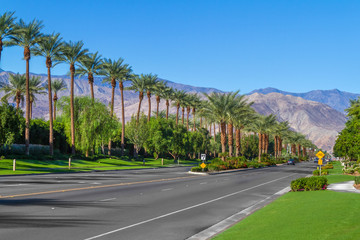 Palm trees line the landscape on California Highway 111 in the city of Indian Wells in the Coachella Valley - obrazy, fototapety, plakaty